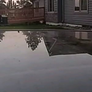 Meet your Posher, Donovan